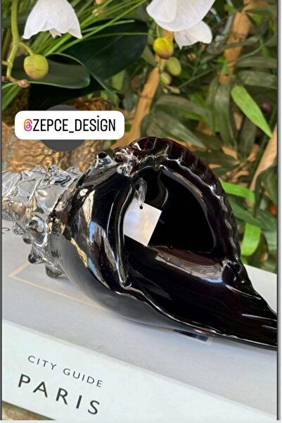 zepce design Cam Deniz Kabuğu Siyah obje dekor biblo