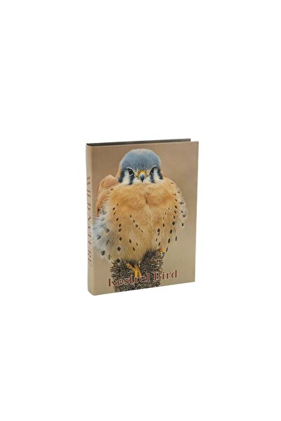Mikasa Moor Kestrel Bird Book Box 28X22X4Cm