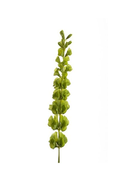 Noname Artificial Molucella branch, green, 80cm