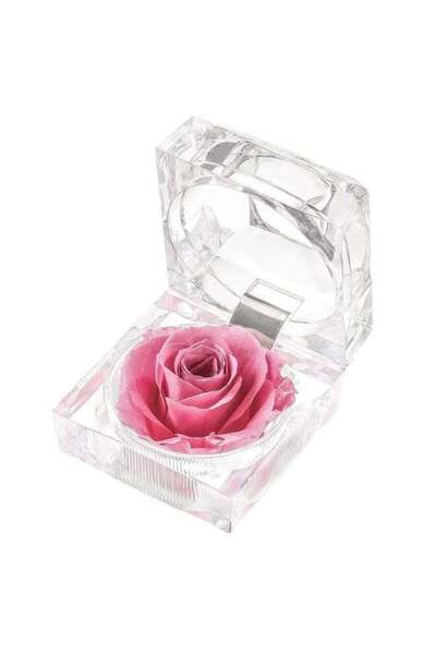 Generic وردة وردية محفوظة في صندوق كريستالي