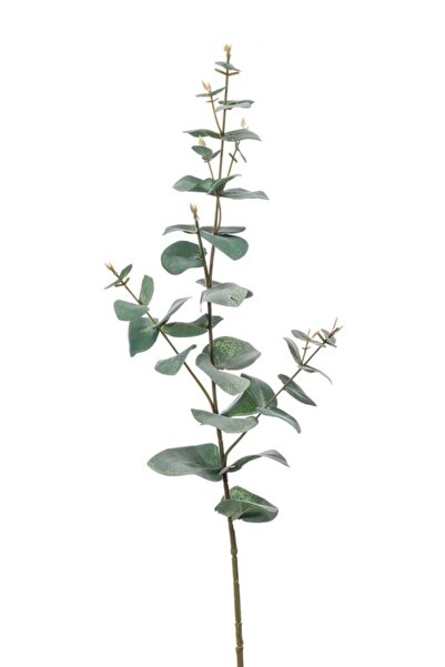 Noname Artificial eucalyptus branch, green/gray, 68cm