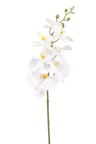 Noname Ramura decorativa Phalaenopsis, artificiala, alba, 84 cm