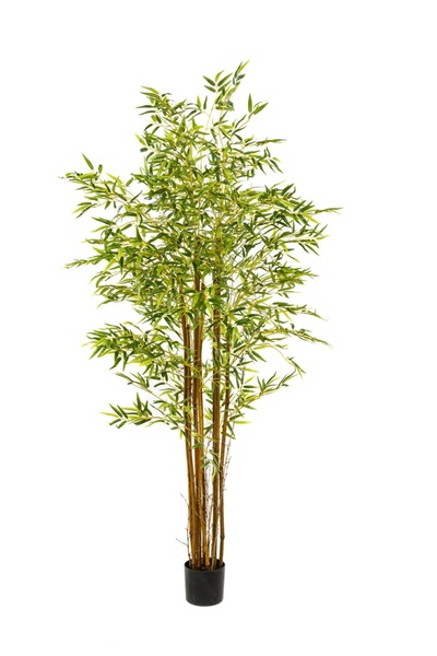 Noname Planta artificiala Bambus Japonez, set 9 tulpini, 180 cm