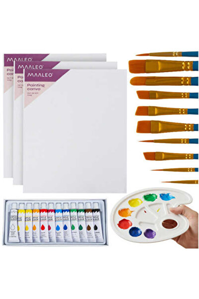 MC Micostore Set Pictura Canvas, 26 Piese, Acrilice, Pensule, 3 Panze Bumbac,...