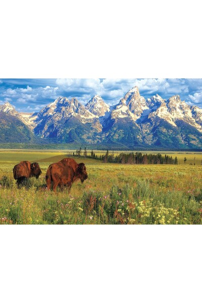 Eurographics Puzzle 1000 pieces - Grand Teton National Park (Eurographics-600...
