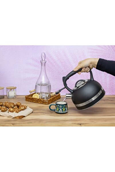 Zilan Stainless steel kettle with whistle ZLN1283, 3l, black, universal gas/e...
