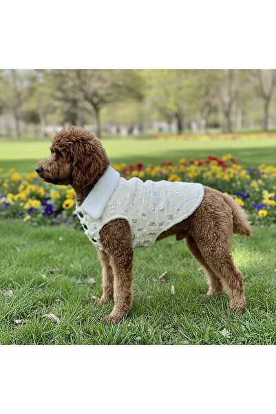 PATİLİNKA Kedi - Köpek İçi Polarlı Dışı Payetli Kışlık Kot Ceket - Mont - Yağ...