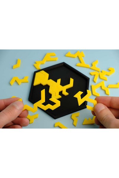 Generic Brand Hexagon Geometric Tray Puzzle, Challenging and Fun Puzzle Enjoyment
