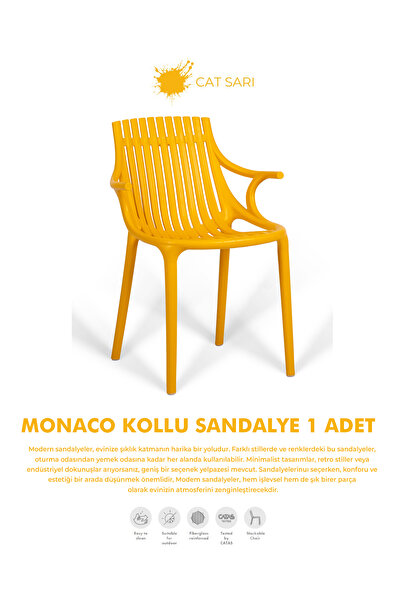 Daim Plastik MONAKO KOLLU LÜX CAFE & RESTAURANT SANDALYESİ