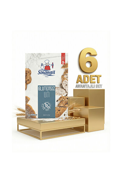 Sinangil Glutensiz Un 6x1 Kg