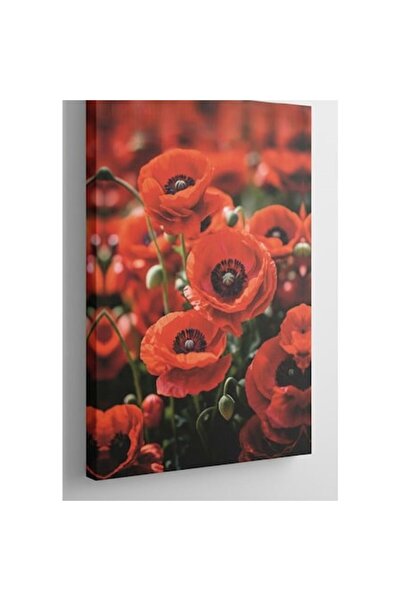 PIM Pictură pe pânză cu flori de mac