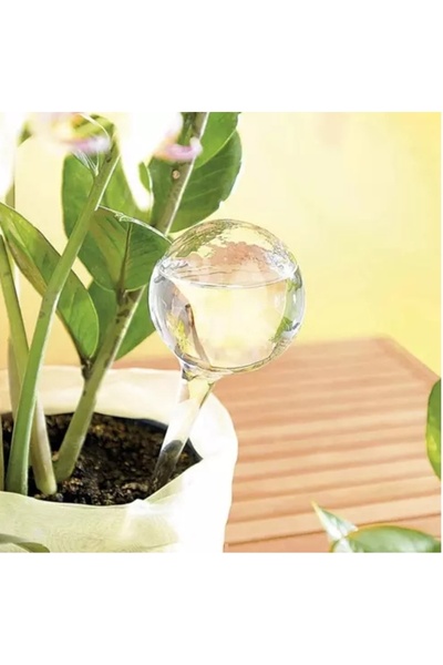 zola Automatic watering set for potted plants and flowers, 8 balls x 280 ml, ...