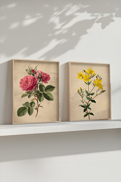 STARYUNA Wooden Framed Vintage Botanical Floral Illustration Double Painting ...