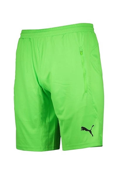 Puma Sports shorts, neon colors, for men