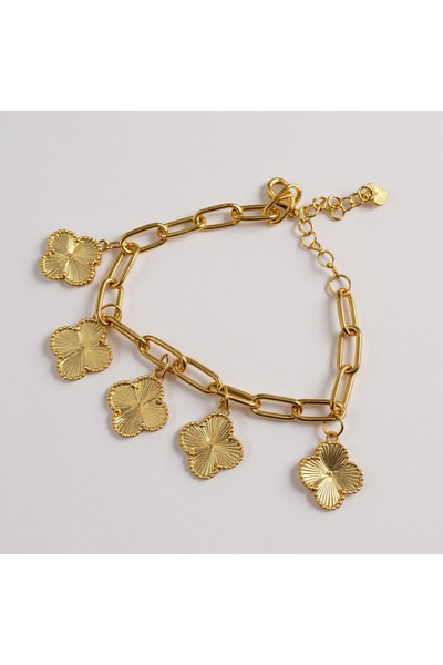 vano2022 Gold-plated bracelets