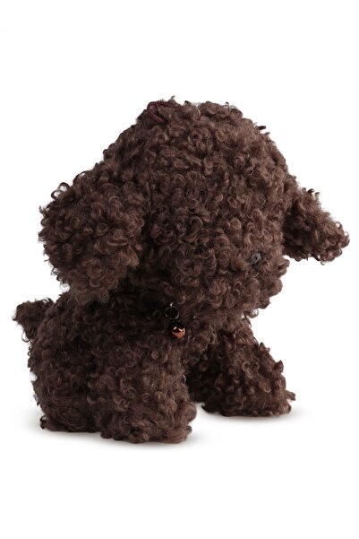 CAN OYUNCAK وبري كلب مجعد (بني) بطول 25 سم - قياسي