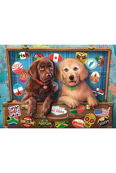 Castorland Puzzle - Stowaway Pups, 300 pieces (030422)