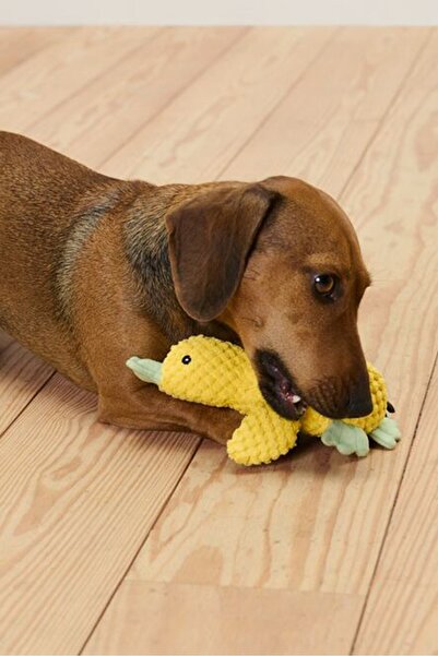 Tchibo Dog Plush Toy Little Duck, Yellow