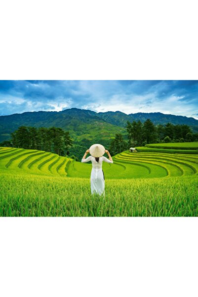 Castorland Puzzle 1000 pieces - Rice Fields in Vietnam (Castorland-105052)