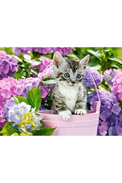 Castorland Puzzle 200 piese - Kitten in Basket (Castorland-222209)