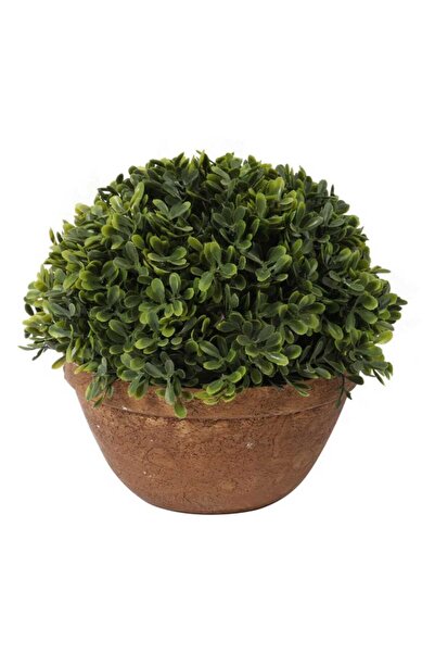 Goliat Sztuczna Roślina Bukszpan w Ceramicznej Doniczce 20 cm