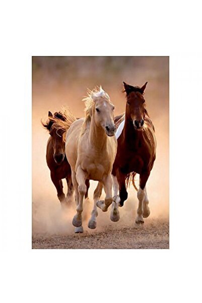 CLEMENTONI Puzzle - Wild Horses Galloping, 1000 piese (6309)