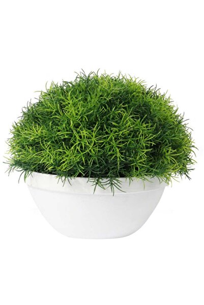 Goliat Trawa-kula w białej donicy 25 cm