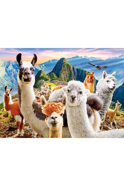 Castorland Παζλ 200 κομμάτια - Λάμας σε Σέλφι (Castorland-222193)