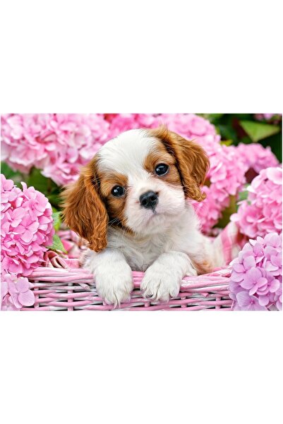 Castorland Puzzle - Pup In Pink Flowers, 500 piese (52233)