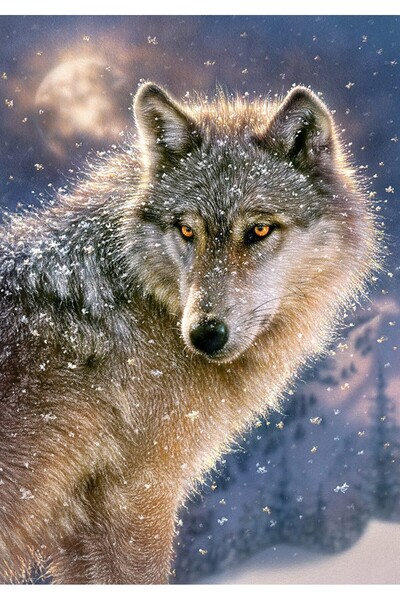 Castorland Puzzle - Lone Wolf, 500 pieces