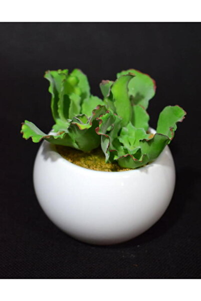 Goliat Sztuczny Sukulent w Białej Ceramicznej Doniczce, 11cm Wysokość, 10cm S...