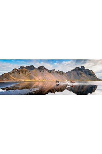 Heye Puzzle 1000 piese panoramic - Iceland Horses (Heye-29946)