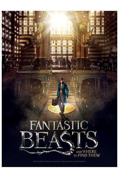 Wrebbit Puzzle - Fantastic Beasts Poster - Macusa, 500 pieces (57049)