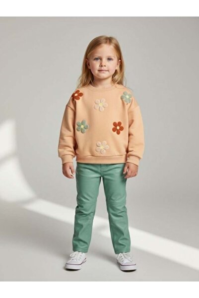 Zekids Girl's Cotton Pack Floral Punch Embroidered Sweatshirt