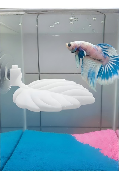 Akvaryum Beta Dinlenme Alanı ⟢ Beyaz ⟢ Betta Balığı Dinlenme Yapragı ⟢ MD İzm...