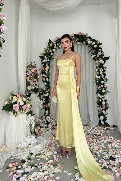 Hollyhocks Rose Collar Belt Detailed Dress