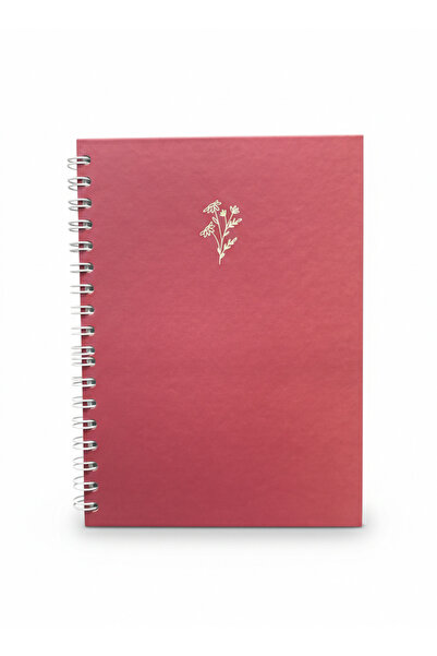 Lizy دفتر ملاحظات بغلاف صلب حلزوني - مخطط صفحة - 17×24 سم