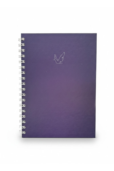 Lizy Spiral Bound Hard Cover Notepad - Striped 120 Sheets - 17X24Cm