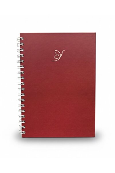 Lizy دفتر ملاحظات بغلاف صلب حلزوني - مخطط ورقة - 17×24 سم