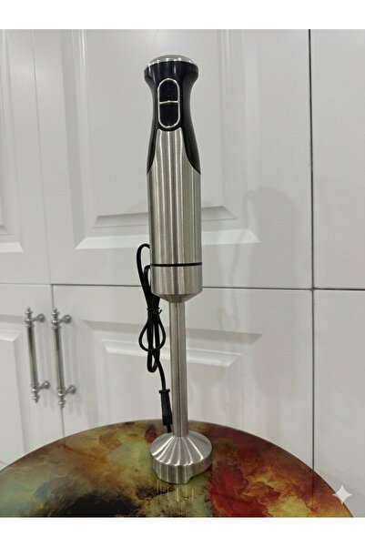 BAGGA Bosch Tekli çelik blender