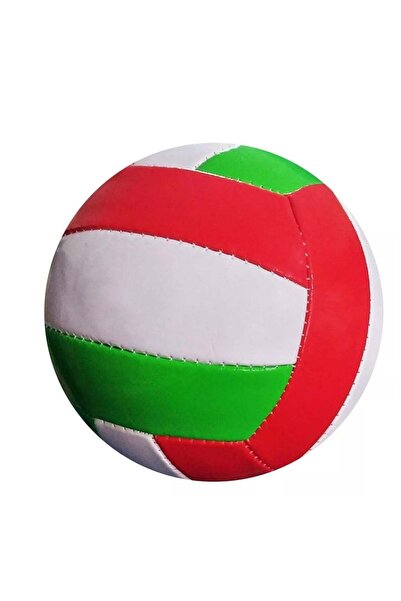 Rally كرة طائرة قابلة للنفخ