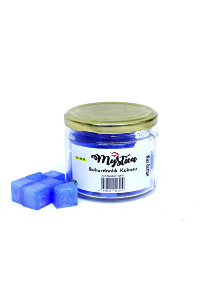 Genel Markalar Buhurdanlık Kokusu Wax Ocean