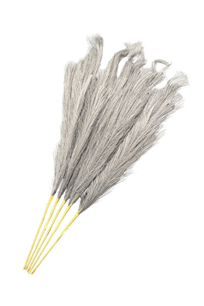 Lara Decor Gri Pampas Tüy Demeti 5'li