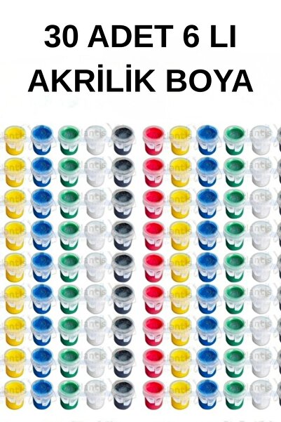 everart 30 adet Akrilik Boya 6 Renk Etkinlik Boyama , Tuval, Workshop, Taş Bo...