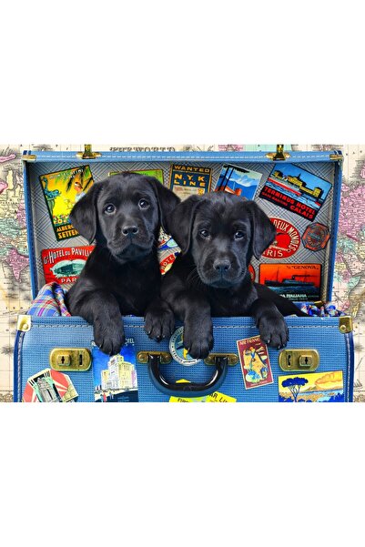 Bluebird Puzzle 48 pieces Puzzle - Travel Labs (Bluebird-Puzzle-F-90053)