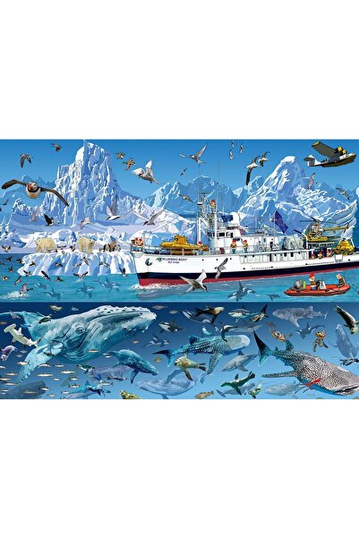 Bluebird Puzzle 1500 pieces Puzzle - Francois Ruyer: Arctic - Boat (Bluebird-...