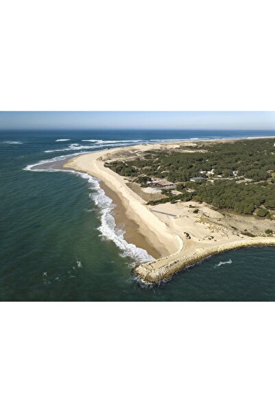 Bluebird Puzzle 1000 piese - Pointe du Cap Ferret, Bassin d'Arcachon (Bluebir...