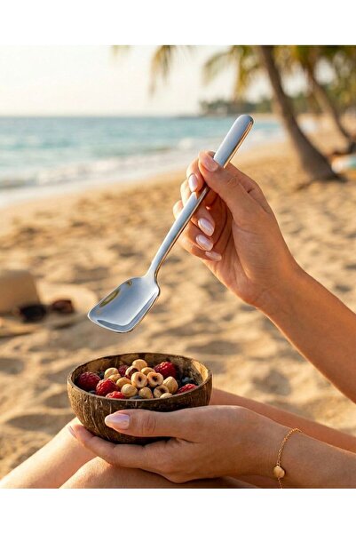 İMMO HOME Ice Cream Spoon 2.5 mm Extra Thick Stainless Steel 6 Pcs