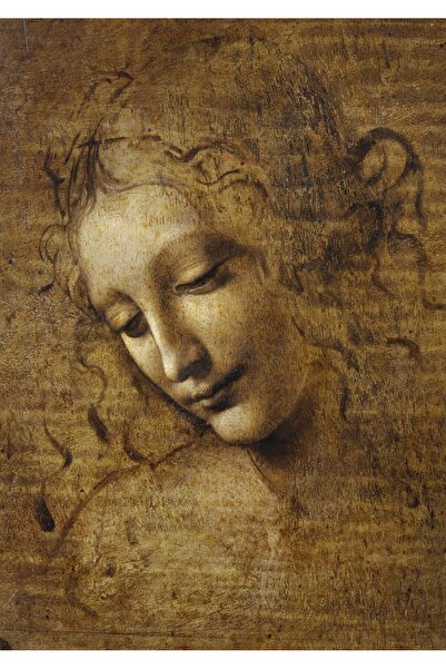 Bluebird Puzzle 1000 pieces Puzzle - Leonardo Da Vinci: The Scapigliata, 1506...