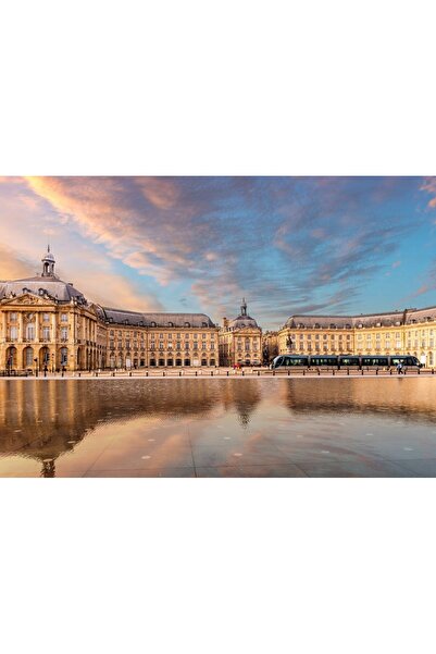 Bluebird Puzzle 1000 pieces Puzzle - Place de la Bourse, Bordeaux, France (Bl...